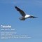 Flying Free