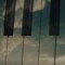 Cloud Shadows