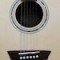 Acoustic guitar
