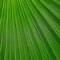 Upbeat Motivate 60s loop