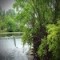 Undercurrent