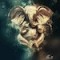 Delicate Orchestral Melody